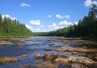 Исследования водных биоресурсов в бассейне реки Мезень