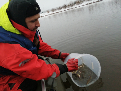 Выполнен осенний этап научно-исследовательской работы на водозаборе филиала «Печорская ГРЭС»