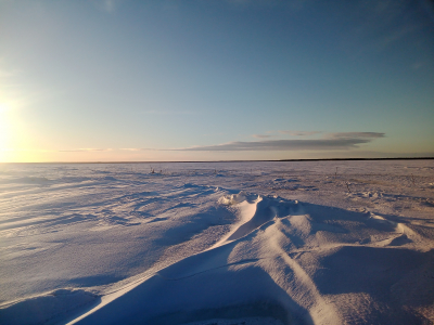 Проведён мониторинг нерестовых подходов наваги в Унской губе Двинского залива Белого моря