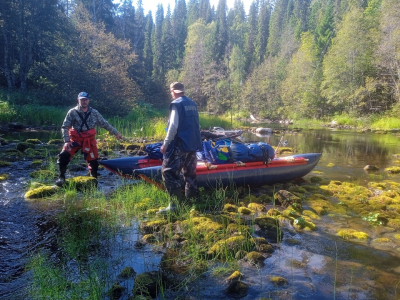 Анализ плотностей распределения молоди атлантического лосося в р. Летняя Золотица