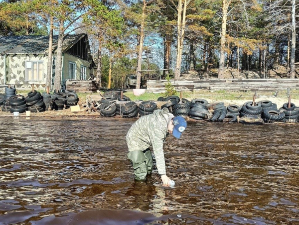 Проведены мониторинговые исследования в губе Яндова  Двинского залива Белого моря