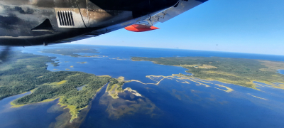 Проведены комплексные исследования промысловых видов морских водорослей в районе Соловецких островов Белого моря