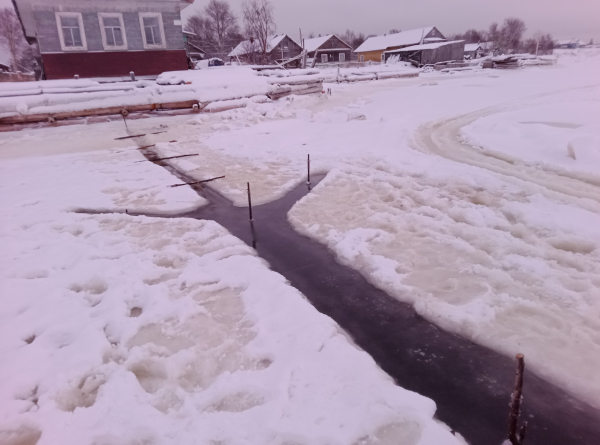 Мониторинг нерестовых подходов наваги в Двинском заливе Белого моря